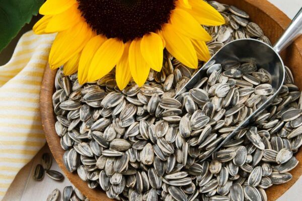 Sunflower-Seeds