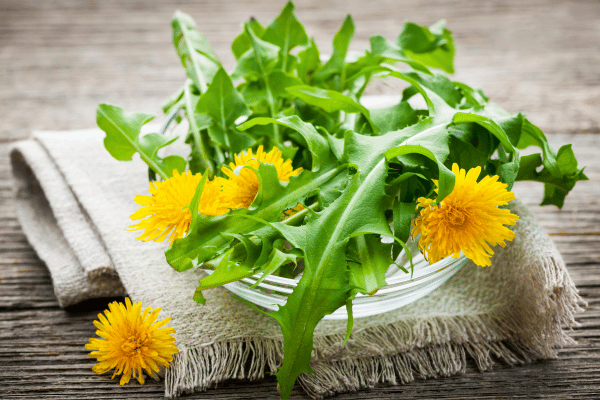 Benefits of Dandelion tea