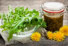 how to make dandelion tea