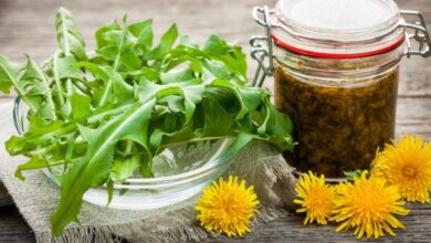 how to make dandelion tea