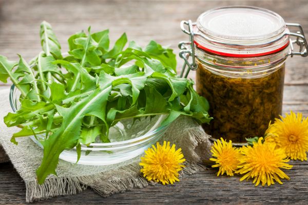 how to make dandelion tea