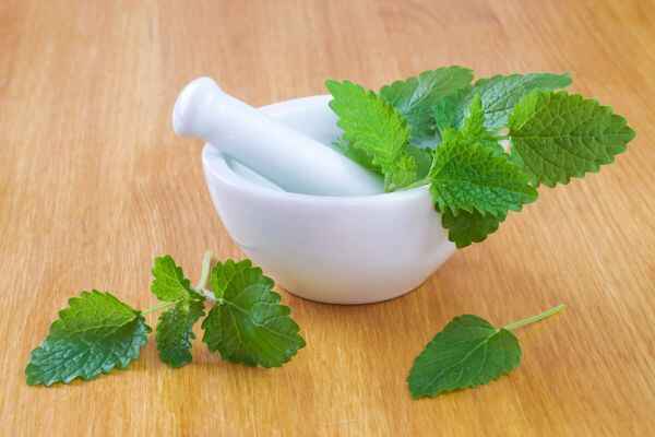 10 Lemon Balm Benefits: How to Use This Herb