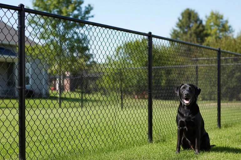 A modern black vinyl-coated chain link fence, a durable and affordable option for a dog-friendly yard.