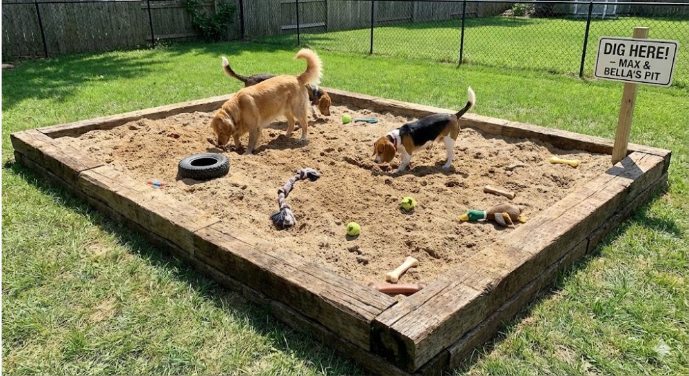 Designated digging pit for dogs filled with sand and toys