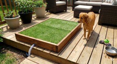 DIY dog potty area with drainage