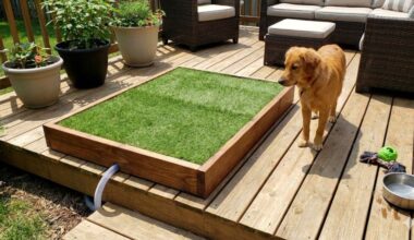 DIY dog potty area with drainage